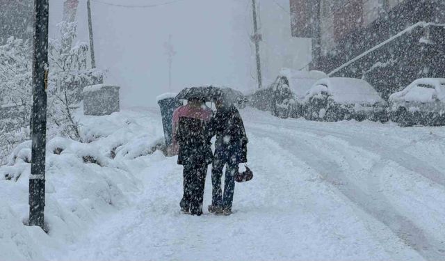 Hakkâri'de kar 20 köy ve 38 mezra yolu ulaşıma kapandı