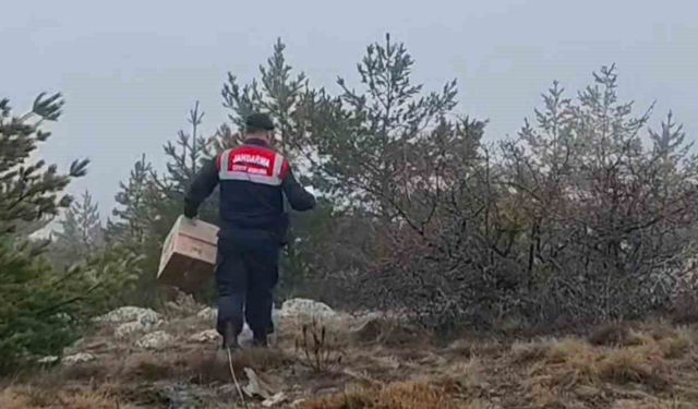 HAYDİ ekipleri doğadaki canlıları unutmadı