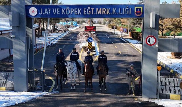 JAKEM'de atlar eğitimde