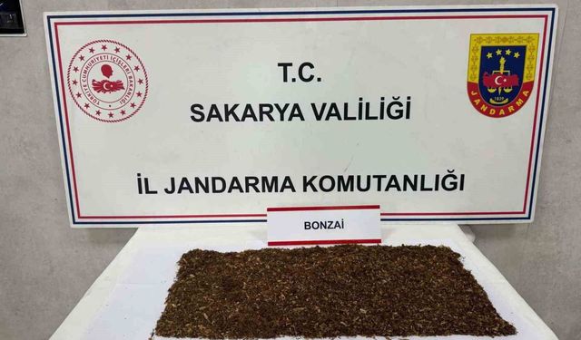 Jandarmadan uyuşturucu operasyonu: 1 tutuklama