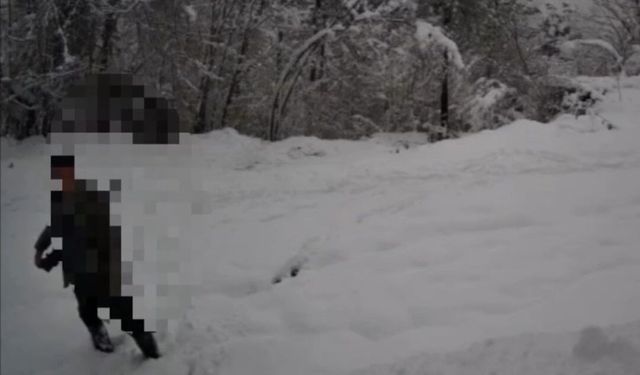 Kaçak avlanan şahıs fotokapana yakalandı