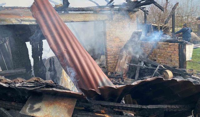 Karabük'te müştemilat yangını: 2 köpek yavrusu telef oldu