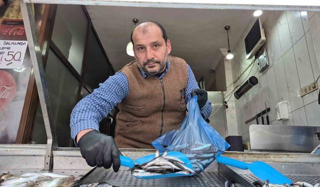 Karadeniz'de hamsi yerini istavrite bıraktı