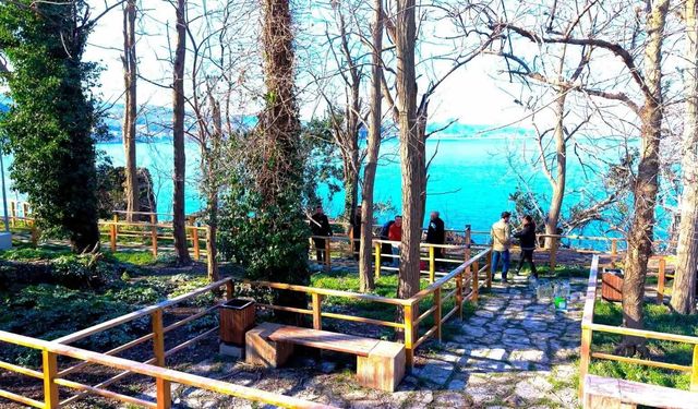 Karadeniz'in yaşanabilir tek adası olan Giresun Adasında kapsamlı temizlik yapıldı