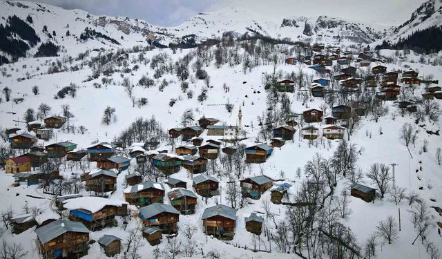 Karlar altındaki doğal yaşam Maden köyünde sanatla buluştu