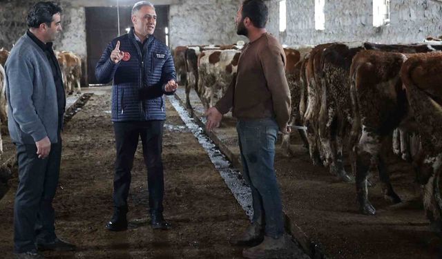 Kars Tarım ve Orman Müdürlüğü sahada: Bayraktar Köyü'nde büyükbaş işletmesine ziyaret