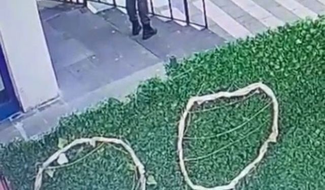 Kedinin çuvala konularak uzaklaştırıldığı görüntülere tepki