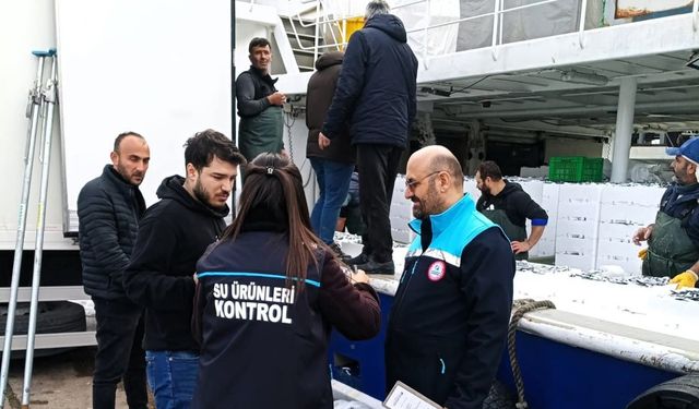 Kırklareli'de hamsi sevkiyatlarına denetim