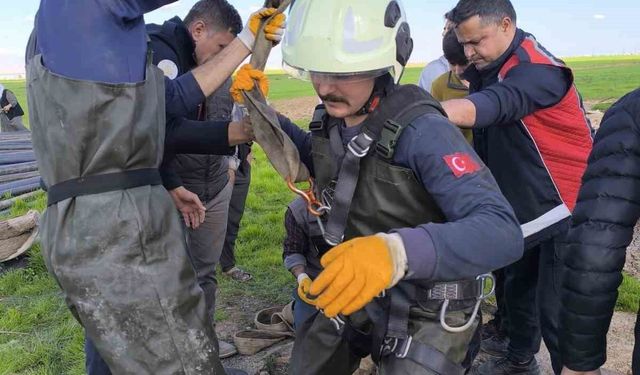 Kuyuya düşen inek itfaiye ekiplerince kurtarıldı