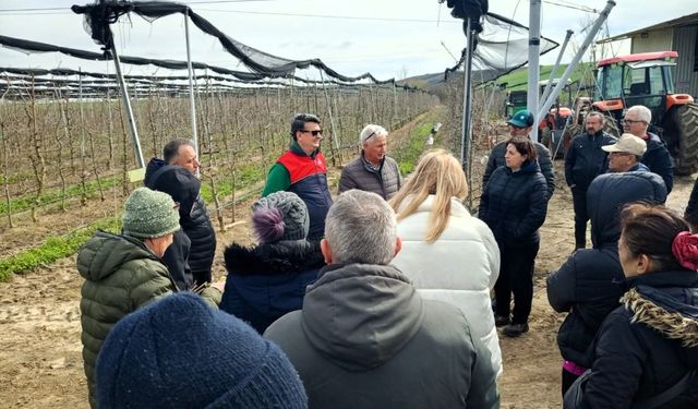 Lüleburgaz'da üreticilere uygulamalı budama eğitimi