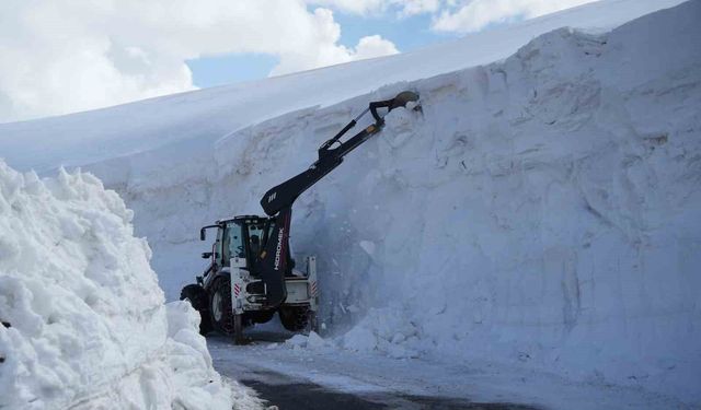 Muş'ta kar kalınlığı 6 metreyi aştı