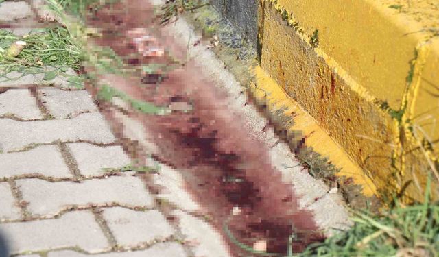 Önce eşini sonra kendini vurmuştu, defin tarihleri belli oldu