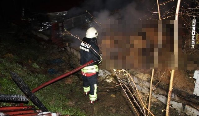Ordu'da ahır yangını: 27 büyükbaş hayvan telef oldu