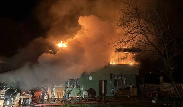 Ordu'da ambarda çıkan yangın marangoz atölyesi ve ahırı küle çevirdi