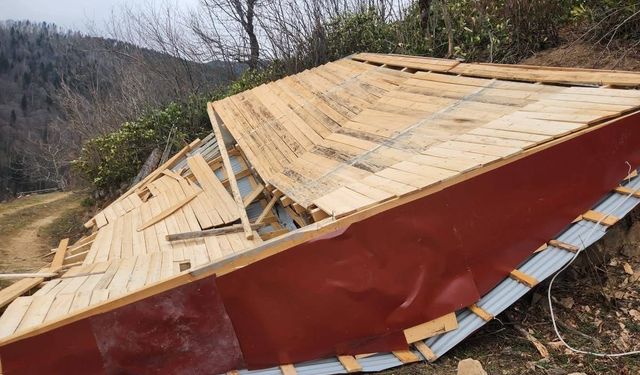 Ordu'da fırtına: Evlerin çatıları uçtu