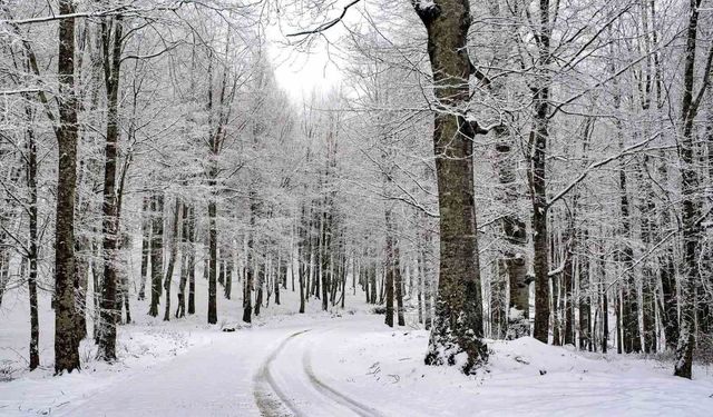 Ordu'nun 15 ilçesinde eğitime kar engeli