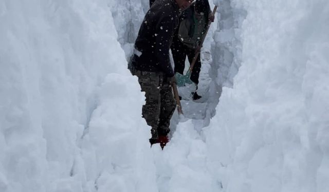 Ovacık'ta besicilerin zorlu kış mesaisi: Hayvanları suya götürmek için metrelerce kalınlıktaki karı kürekle temizlediler