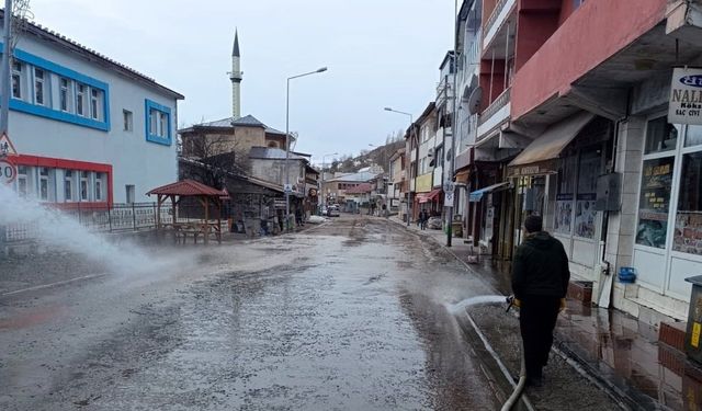 Posof'ta bahar temizliği