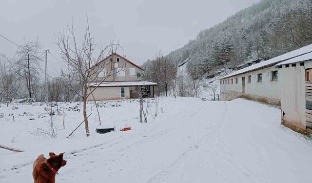 Sakarya'da yüksek kesimlerde kar, şehir merkezinde yağmur etkili oldu
