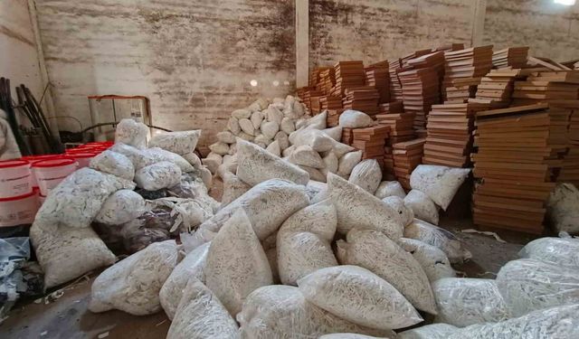 Şanlıurfa'da 14 milyon TL değerinde 40 milyon makaron ele geçirildi