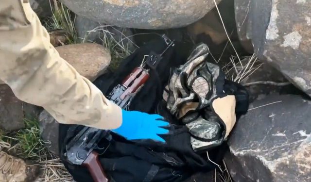 Şanlıurfa'da silah kaçakçılığı operasyonu: 8 gözaltı