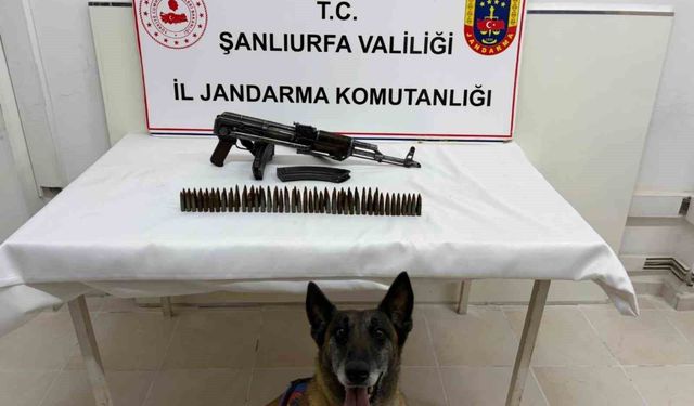 Şanlıurfa'da uzun namlulu silah ele geçirildi: 1 gözaltı