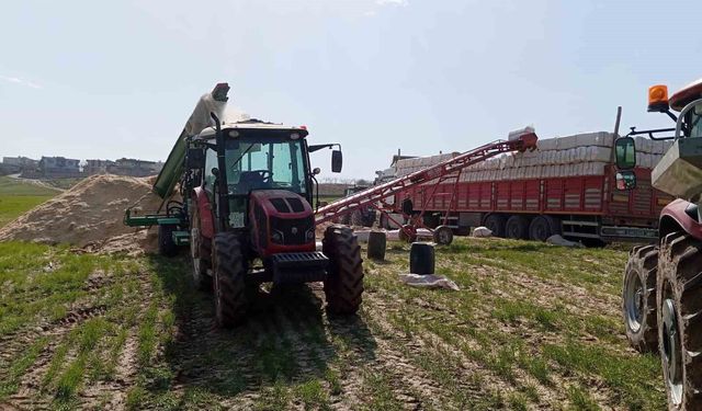 Siirt'te silahla oynayan kişi kazara kendini vurdu