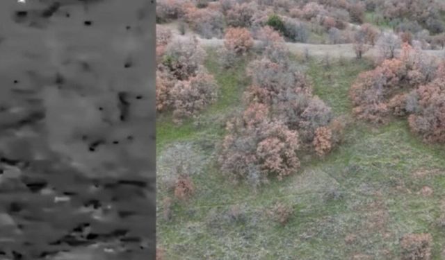 Termal drone destekli denetimde 2 kaçak avcı yakalandı