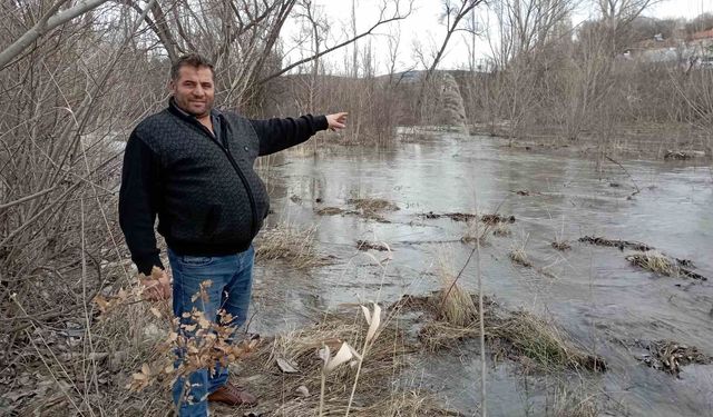 Tokat'ta dereler taştı; ekin tarlaları sular altında kaldı