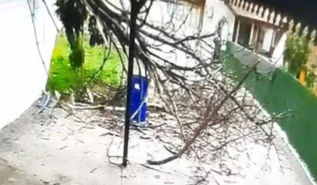 Tokat'ta fırtınanın devirdiği ağacın altında kalmaktan son anda kurtuldu