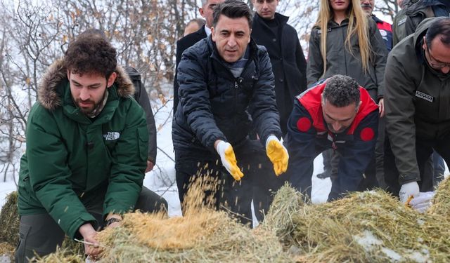 Vali Aygöl, yaban hayvanları için sahada
