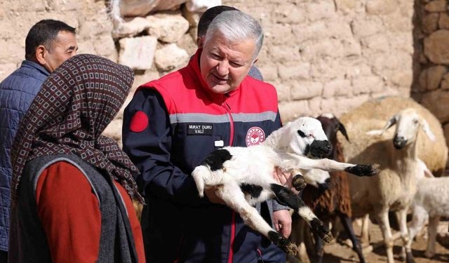 Vali Duru: '1,5 milyarlık finansmanla 125 bin küçükbaş hayvan alımı yapılacak'