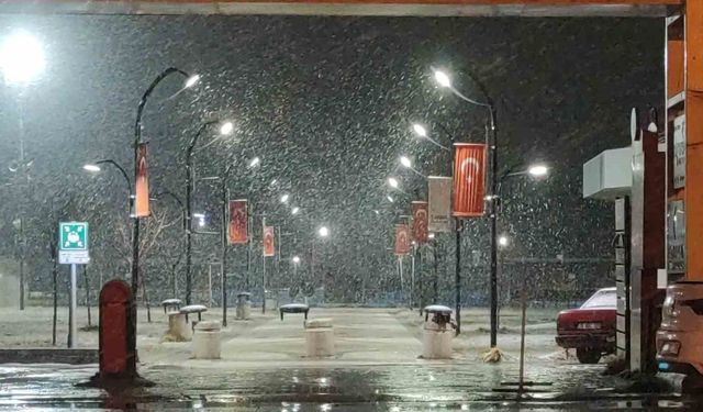 Van'da kar yağışı yeniden etkili oldu