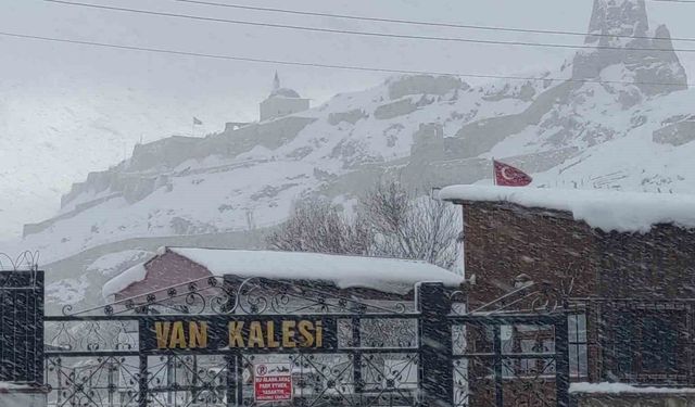 Van'da kardan dolayı kapanan 390 yoldan 230'u açıldı