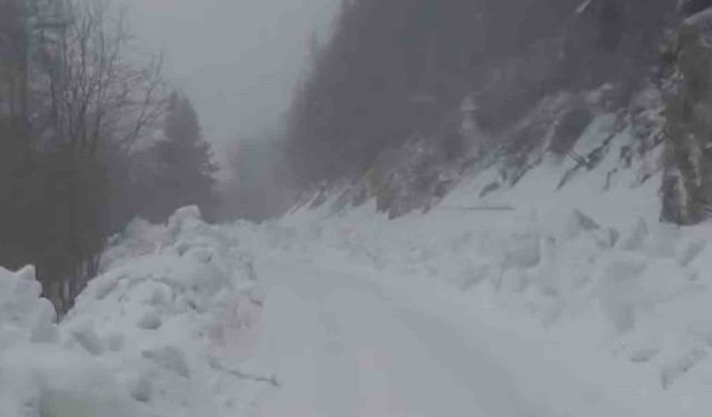 Yedigöller Milli Parkı yolunda kar yağışı etkili oluyor