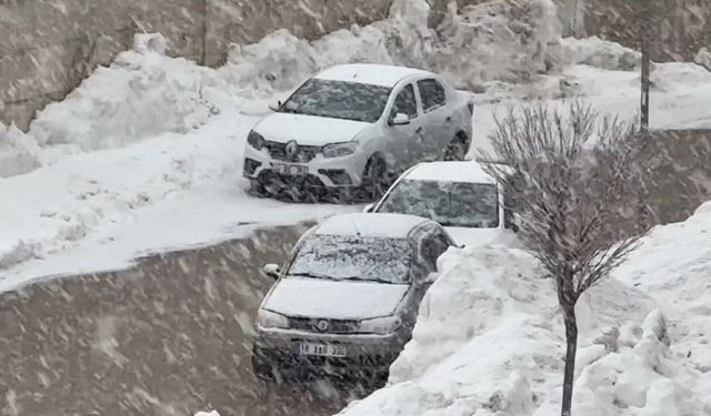 Yüksekova'da lapa lapa kar yağışı başladı