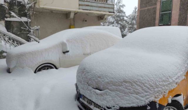 Ardahan'da kar yağışı yeniden başladı