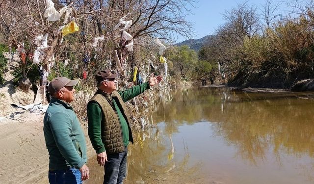 Aydın'ın içme suyunu karşılayacak Sarıçay'da kirlilik alarmı