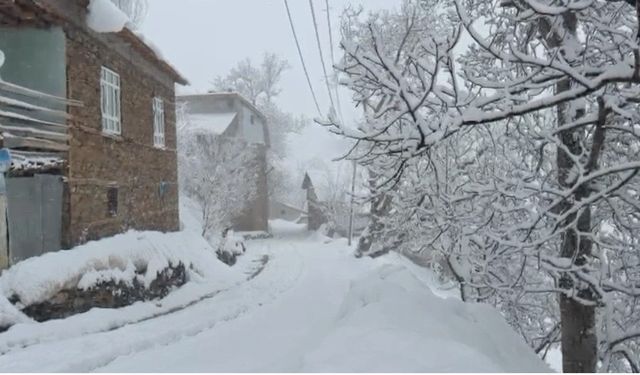 Bahçesaraylılar açtıkları kar tünelleriyle günlük hayatlarını sürdürüyor