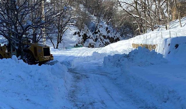 Batman'da karla mücadele çalışmaları sürüyor