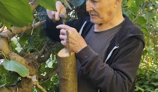 Bilecik huzurevinde kalan yaşlılar bahçeyi güzelleştiriyor