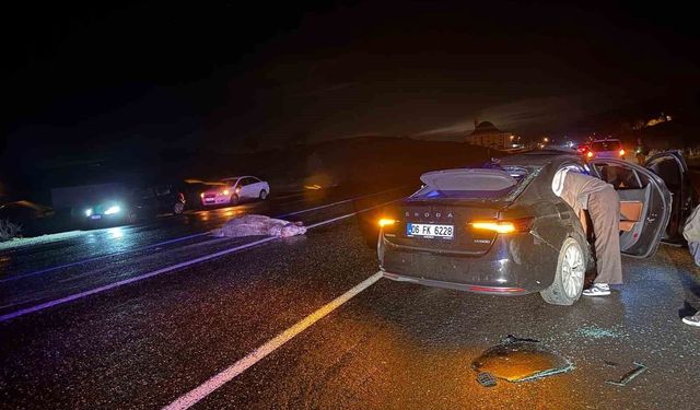 Bingöl'de otomobil ata çarptı: 4 yaralı