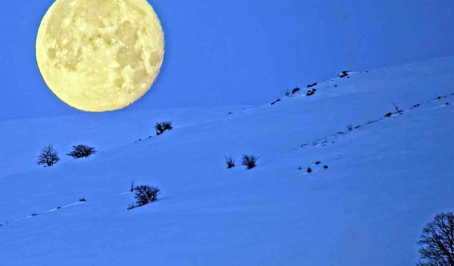 Bitlis'te karlı dağlarla bütünleşen ay manzarası mest etti