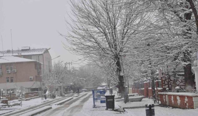 Bulanık Mart ayında beyaz büründü
