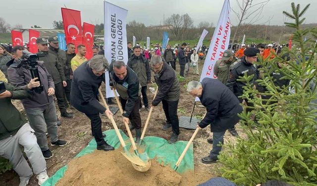 Bursa'da 2 yıl önce yanan 80 hektarlık alan ağaçlandırıldı