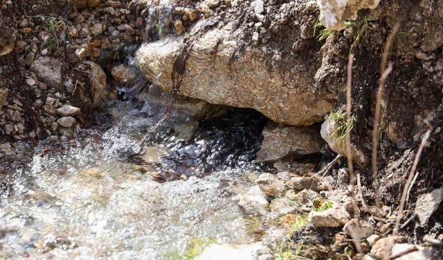 Çameli'nde yağışlar sonrası yer altı suları yüzeye çıktı