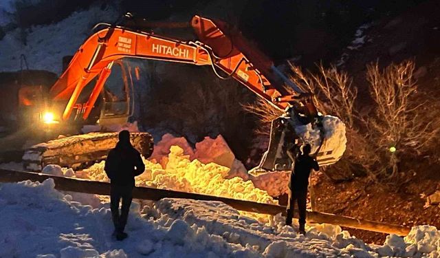 Çığ vurdu, devlet ve ilgili kurumlar çalışma başlattı, Beşağaç köyü karanlıktan kurtarıldı
