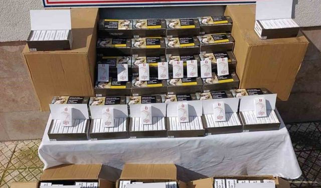 Çine'de 55 bin adet kaçak makaron ele geçirildi