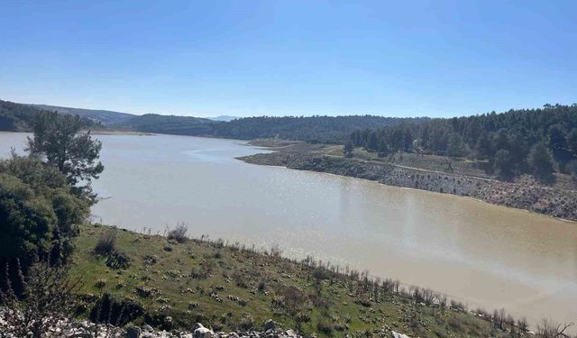 Derbent Barajı'nda su seviyesi zirvede