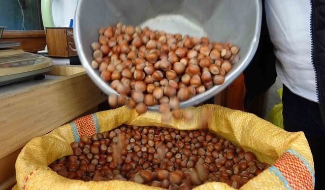 Düzce'den iki ayda bin 837 ton fındık ihraç edildi